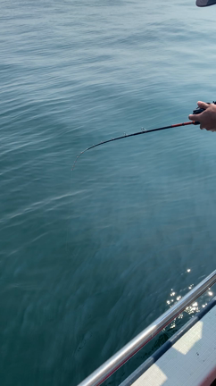 好釣明石沖の船タコに！の記事動画