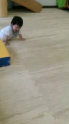 すずちゃんのハイハイの記事動画