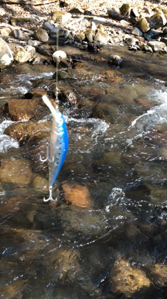 春だねーの記事動画