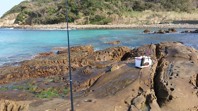 風強し、、、の記事動画