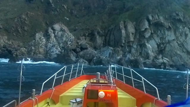 シロイワの記事動画