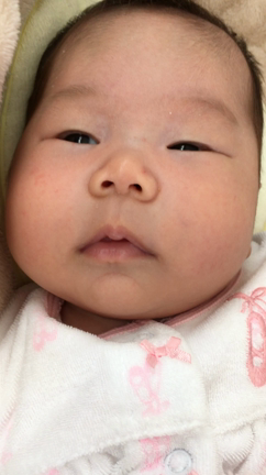 通じてるのかな？の記事動画