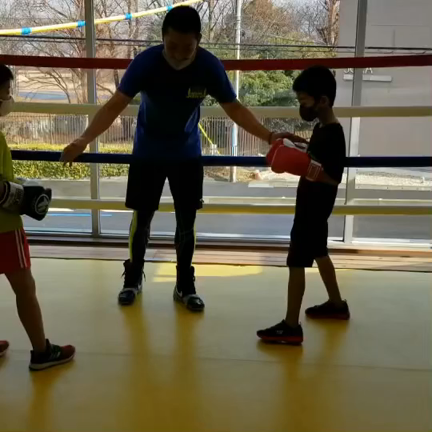 キッズボクシングの記事動画