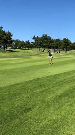 海の子、若洲の子、復活なるかの記事動画