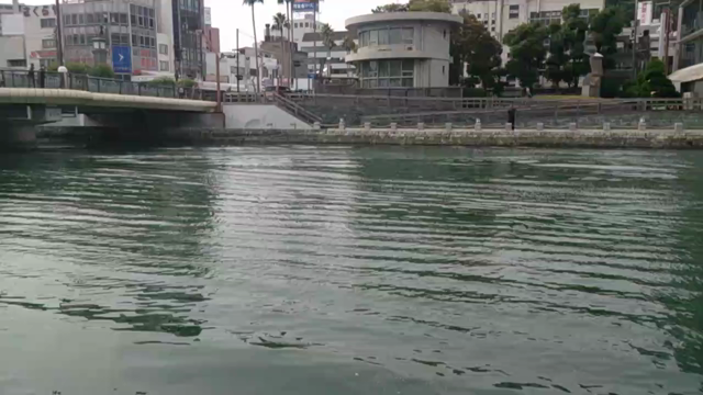 今日の徳島ヴォルティス❗の記事動画