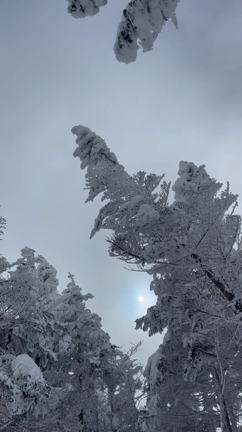 ペン字手本のアレンジを変更してみるの記事動画