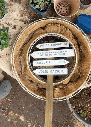 想像を妄想し妄想を想像せよ！の記事動画