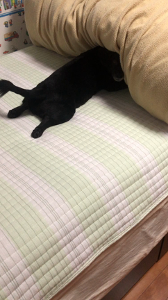 便利な物は使うと楽ちん❣️排水溝とお肌とアンチエイジングの記事動画