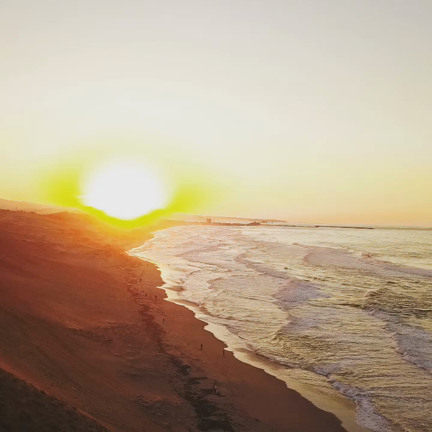 1/28までのシフト【旅日記～鳥取砂丘～】の記事動画