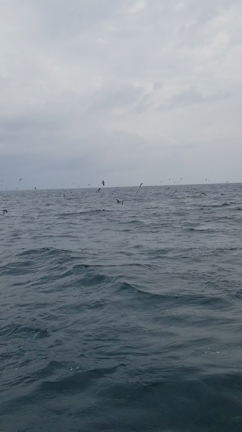 昨日のファイト✊‼️の記事動画