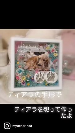 ティアラのフォトフレームの記事動画