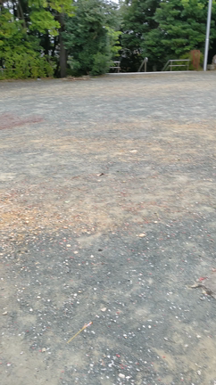 BUCK-TICK？爆竹？の記事動画