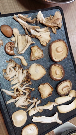 キノコづくしの記事動画