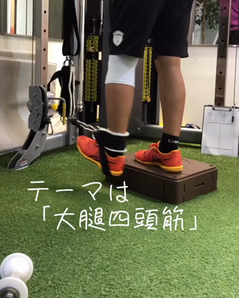 膝を守ってくれる大腿四頭筋の記事動画