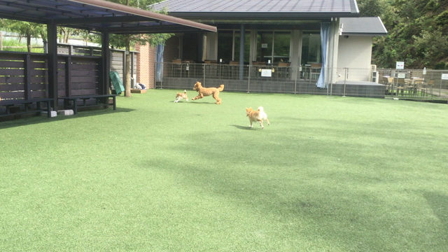 3連休(1日目)の記事動画