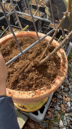 禁酒してます…なぜか…笑の記事動画