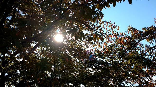 休日は逆に疲れるの記事動画