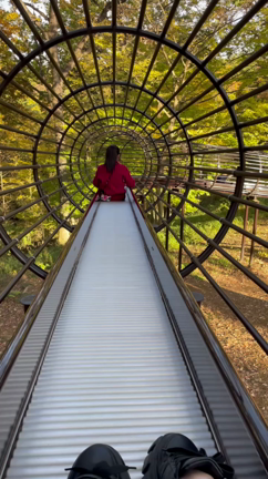 森林公園に遊びに行きました⭐︎の記事動画