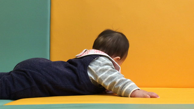 同月齢の赤ちゃんから受ける刺激の記事動画