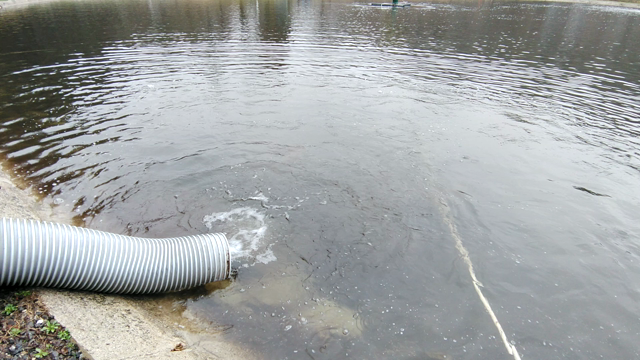 【ご案内】2023年シーズン「放流」のご案内　　～オープンに向けてたくさん放流しました♪～の記事動画