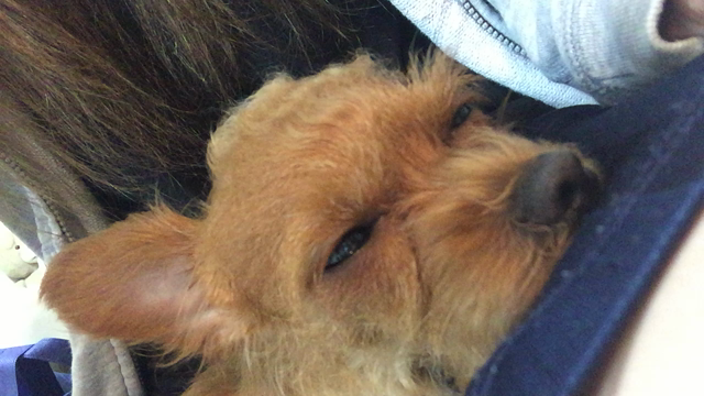 越谷レイクタウンの記事動画