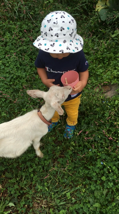 ようやくお出かけの記事動画