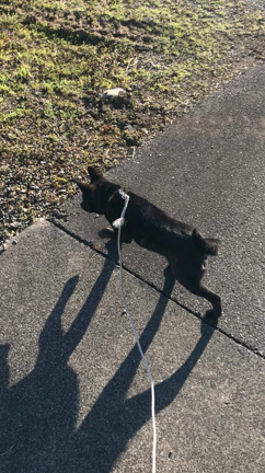 休みの過ごし方の記事動画