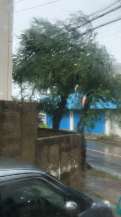 045 日記、手帳　100断の記事動画