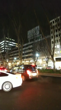 ◆今夜も光のページェントの記事動画