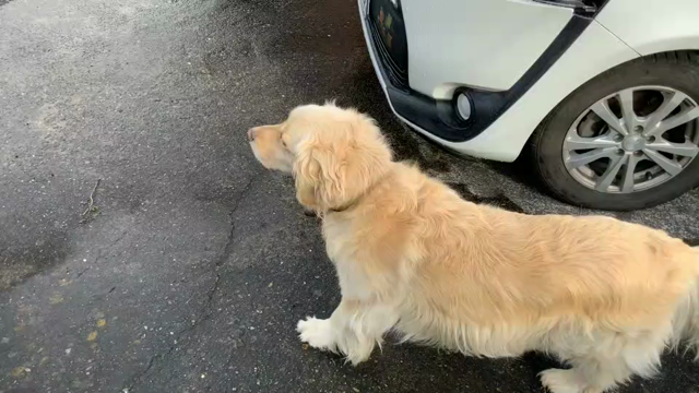 5月24日(日)開催決定の記事動画