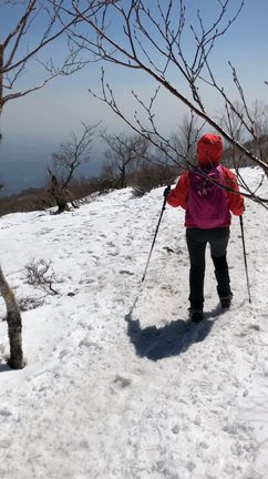 毎日暑いのでの記事動画