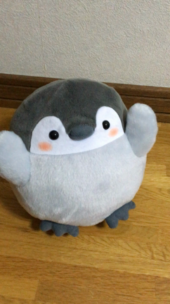 活動展示会の記事動画