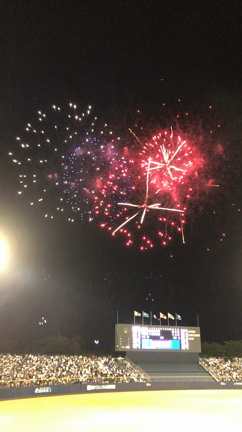 プロ野球観戦の記事動画