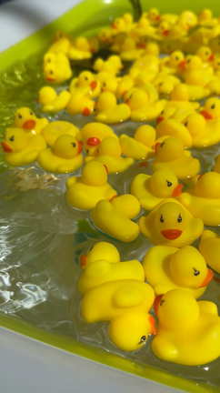 オアシスの記事動画