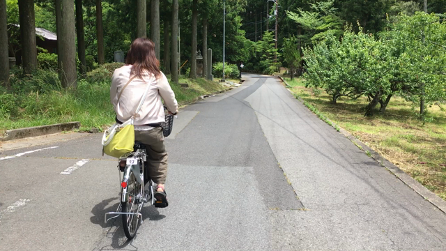 銀色の記事動画