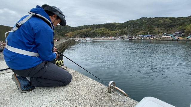 もう一本！の記事動画