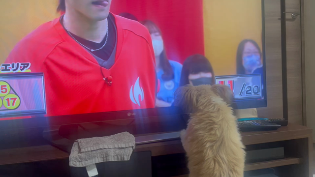 １５日目　イケメン狙いかと思いきや…の記事動画