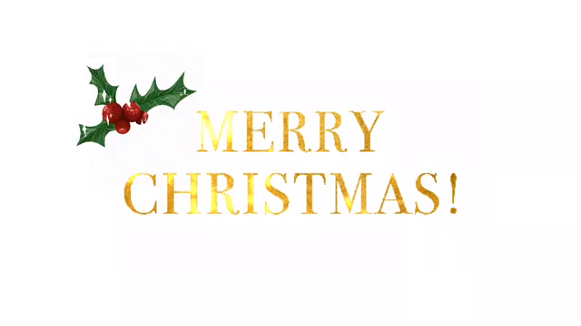 メリークリスマス　人生の転機‼の記事動画