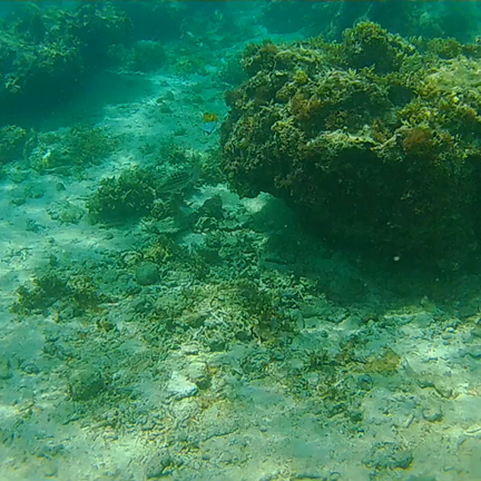 うーみー❤️の記事動画