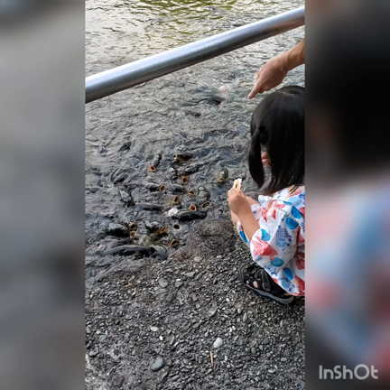 ワトソンくんちの夏旅行2022の記事動画