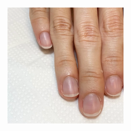 自爪育成【祝】ご卒業！の記事動画