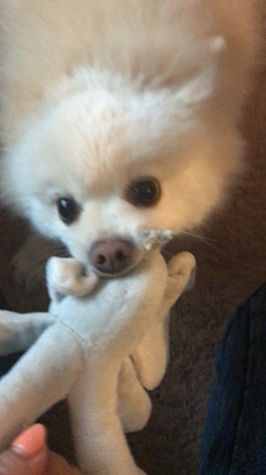 Day off♪の記事動画