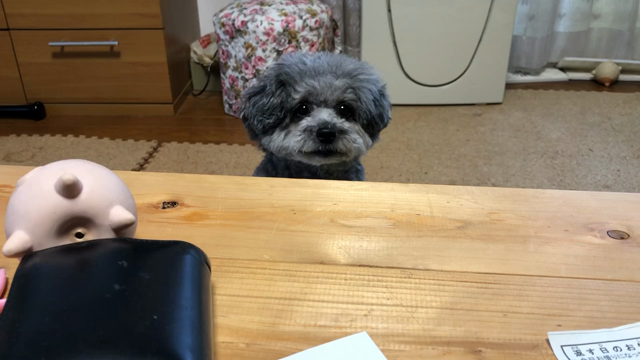 おもちゃ取ってくだしゃいの記事動画