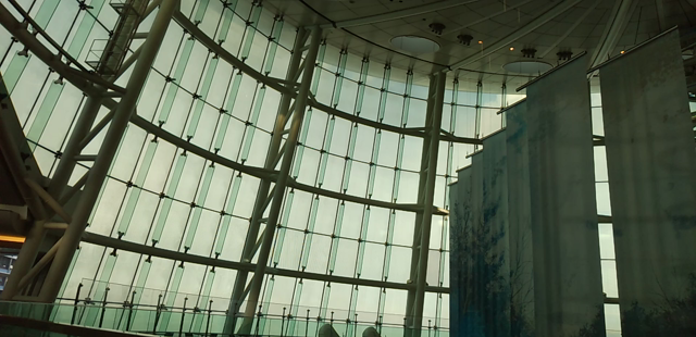 新千歳空港と羽田空港のB’ｚの記事動画