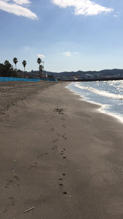 Luna y el marの記事動画