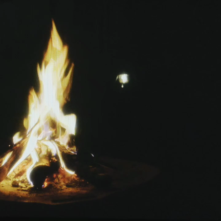 ☆夢の中へ、、、☆の記事動画