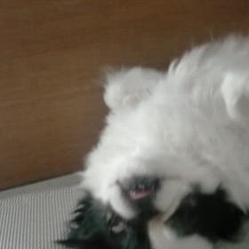 休み方の画像