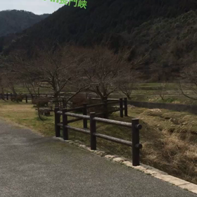 いなかの画像