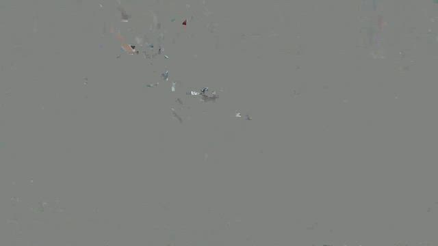 エルメス購入・・・の記事動画