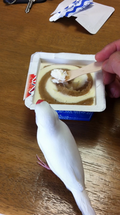 美味しそう！の記事動画